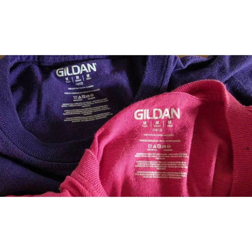 Gildan this pair